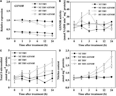 <mark class="highlighted">S-Nitrosoglutathione</mark> Reductase Contributes to Thermotolerance by Modulating High Temperature-Induced Apoplastic H2O2 in Solanum lycopersicum